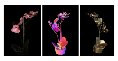 Orchid 3D models taken with Photoneo MotionCam-3D Color